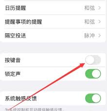 惊了！苹果关闭电话按键音竟有这超简单方法，速戳！