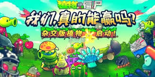 植物大战僵尸杂交版泳池防守第8关通关秘籍大公开
