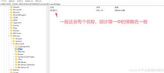 惊爆！mozilla plugins是什么？注册表竟能删？速来一探究竟！