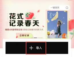 醒图秘籍大公开！一键学会图片虚化技巧，让你的照片瞬间脱颖而出