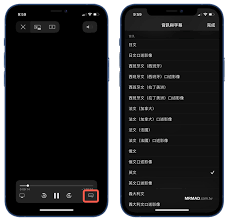 惊了！苹果手机这超实用口述影像功能，竟藏在这儿能打开！