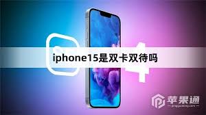 苹果15是双卡双待手机吗