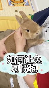 男朋友总爱捏我小兔子怎么办