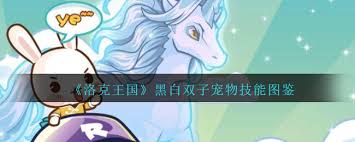 洛克王国黑白双子最强技能搭配