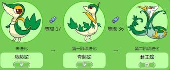 震惊！藤藤蛇究竟在这个等级才能进化？快来一探究竟！