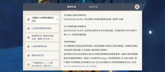 惊爆！原神小米服停服时间确定，玩家们彻底炸锅啦！