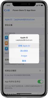 iPhone上无法更改Apple ID国家地区的改进修复