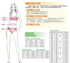 改进文胸100c含义全解析