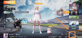 和平精英：惊爆！如何一键切换男女人物角色，开启全新战斗体验！