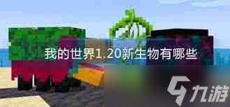 2025年我的世界自然生成方块全解析