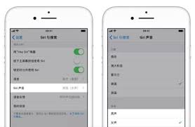 惊爆！苹果手机竟能这样换Siri声音，你绝对意想不到！