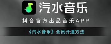 惊爆！汽水音乐开通汽水会员的超简方法大公开！