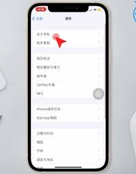 惊爆！苹果 11 查看激活日期的超绝操作方法大