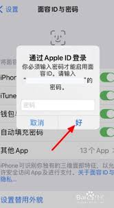 苹果15app下载：轻松启用面容识别新体验