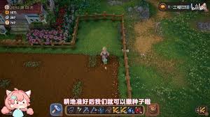露玛岛超简洁全自动种田攻略，核心要点全掌握