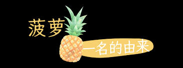 探秘菠萝那些鲜为人知的别称，你知道几个？