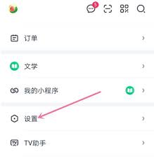 惊爆！电脑爱奇艺去水印超神奇方法大