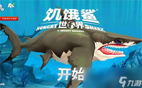 饥饿鲨世界鲨鱼排名大，核心要点全凸显