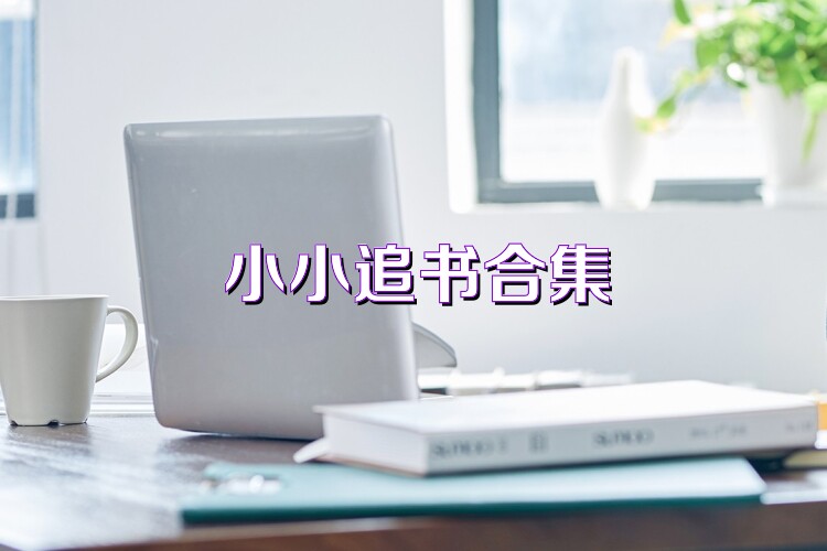 小小追书合集