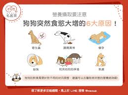 惊！狗狗进去后竟发生如此惊人变化，瞬间变大！