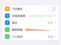 震惊！两台 iPhone 打电话时竟同时响，究竟咋回事？