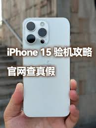 快速查询苹果 15 真伪的方法