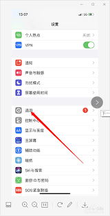 苹果 13 开启 APP 信任授权全攻略