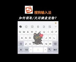 惊爆！搜狗输入法浮标设置竟藏如此多新奇玩法，速来解锁！