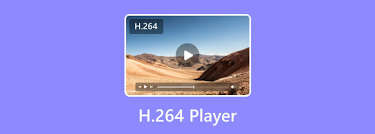惊爆！H264格式视频究竟用啥播放器能打开？