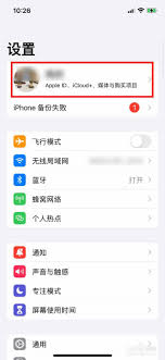 苹果手机如何取消连续包月会员