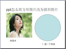 惊！PPT 里方形图片竟能这样瞬间变圆形，速来围观！