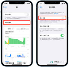 惊！苹果手机仅用10个月，电池容量竟只剩90%！