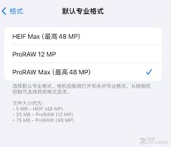 iPhone 15 Pro系列：快速设置Apple ProRAW格式指南