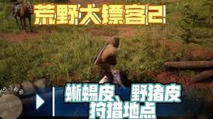 大表哥 2 必看！野猪皮高效刷取地点，速来！