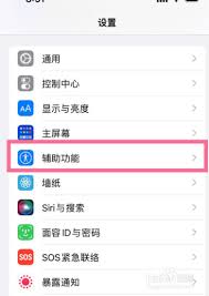 苹果13自动亮度设置方法大