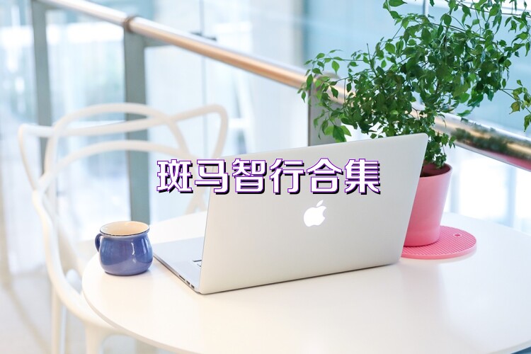 斑马智行合集