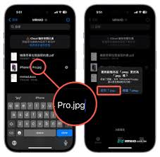 惊爆！iPhone更改文件扩展名竟有这等神奇操作！