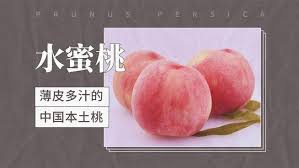水蜜桃口感鲜美且新发现着色入口