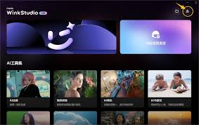 Wink去水印操作指南：简洁高效凸显核心要点