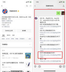 必看！苹果iOS 15.8.2正式版升级全攻略，错过血亏！
