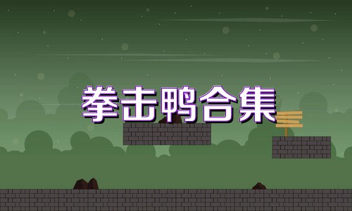 拳击鸭合集