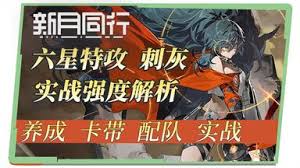惊爆！新月同行刺灰超强配队秘籍大公开