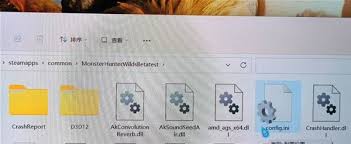 怪物猎人荒野：如何有效消除体积雾突出核心要点