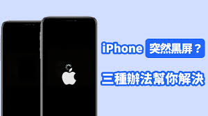 苹果手机黑屏有声音屏幕不亮怎么办