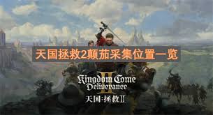 惊爆！天国拯救2炼金配方全公开，快来一探究竟！