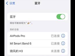 惊爆！从苹果手机蓝牙名称竟能发现这些不为人知的秘密，速来一探究竟！