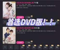 深度解析：电视剧dvd版改进的内涵