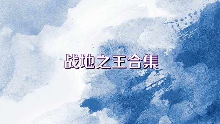 战地之王合集