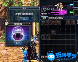 震惊！原来这样用 DNF 宠物封印胶囊，轻松解锁超酷宠物！