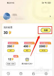 点点穿书如何充值vip及APP充值能量的方法